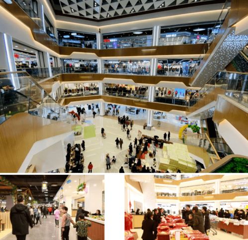 榮耀啟航 慶云開啟商貿集群發(fā)展新時代